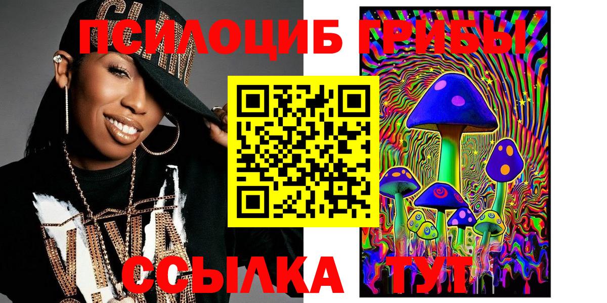 Псилоцибиновые грибы Psilocybine cubensis Находка