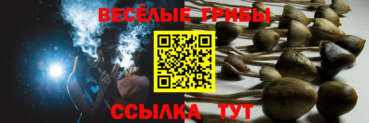 Находка  Галлюциногенные грибы прущие грибы  где купить наркоту  Вход с VPN 